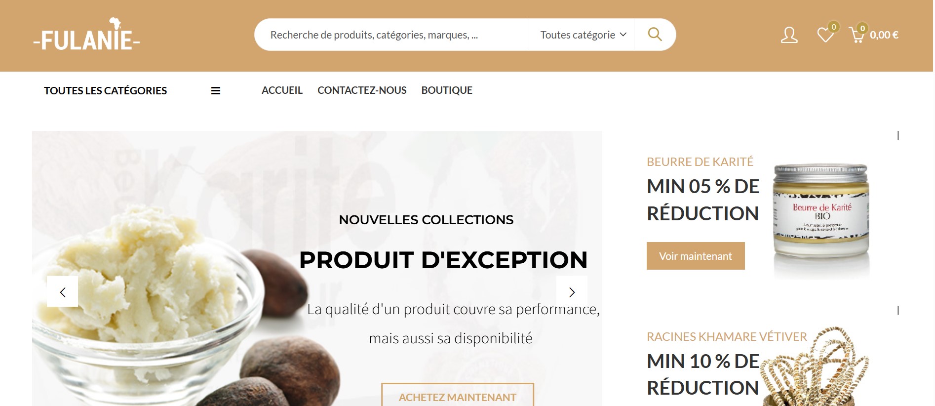 Platforme E-commerce